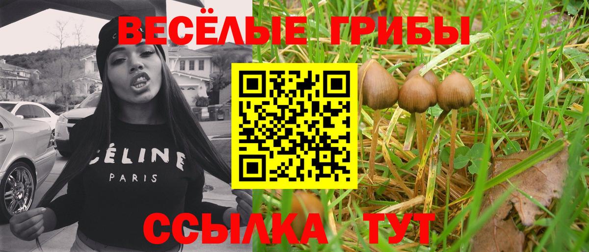Янаул  Псилоцибиновые грибы Magic Shrooms  Вход с VPN 